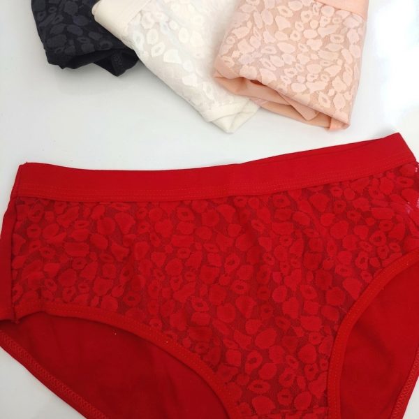 ema-4043-patterned-lace-briefs-red-front