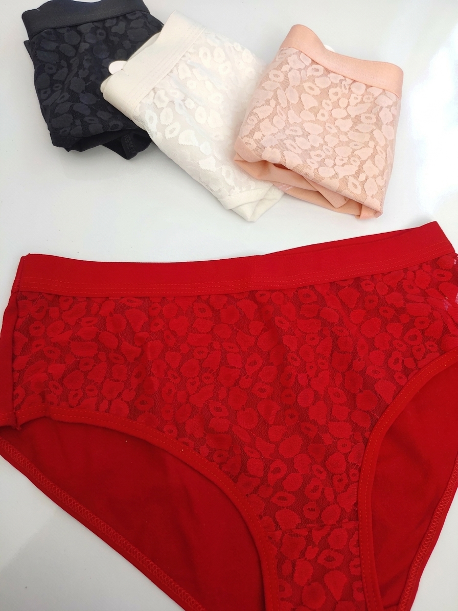 ema-4043-patterned-lace-briefs-red-front